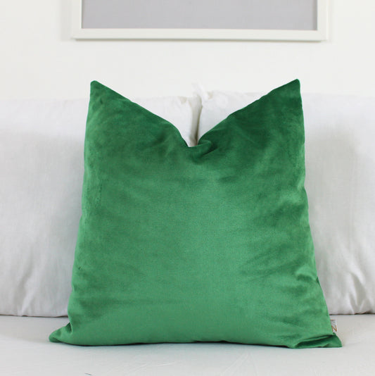 Parakeet Velvet Pillow Cover